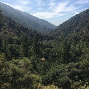 Meet your Posher, Alma